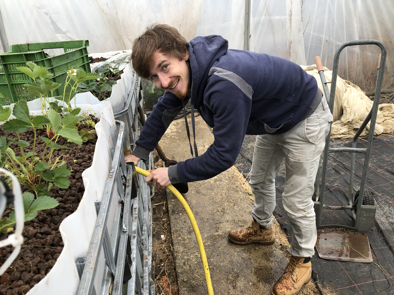Screenshots of Aquaponic System 1