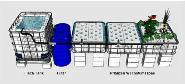 Screenshots of Aquaponic System 2