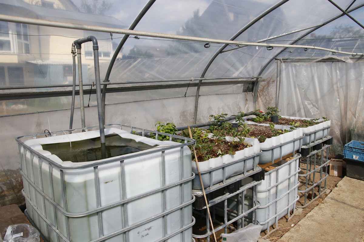 Screenshots of Aquaponic System 3
